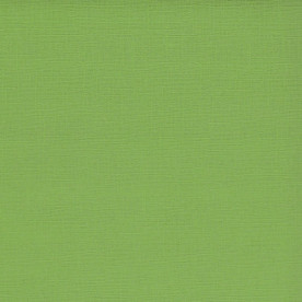 Текстурный кардсток зеленый папоротник 30,5х30,5 см 216 г/м2 от Scrapberry's