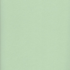 Текстурний кардсток пастельно-зелений 30,5х30,5 см 216 г / м2 від Scrapberry's