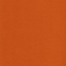 Текстурний кардсток коричнева охра 30,5х30,5 см 216 г / м2 від Scrapberry's