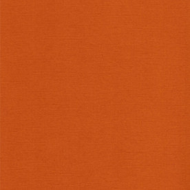 Текстурний кардсток коричнева охра 30,5х30,5 см 216 г / м2 від Scrapberry's