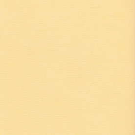 Текстурний кардсток кукурудзяний 30,5х30,5 см 216 г / м2 від Scrapberry's