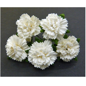 Набор гвоздик OFF WHITE, 5 шт., 25 мм