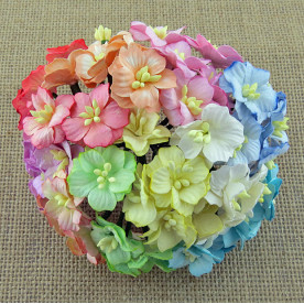 Набор цветов яблони в пастельных тонах, 10 шт., 20-25 мм