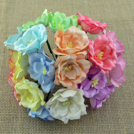 Набір магнолій в пастельних тонах, 10 шт., 35 мм