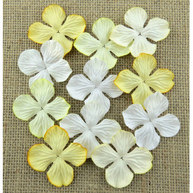 Набор гортензий в кремовых тонах 35 мм, 10 шт.