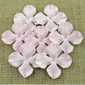 Набір гортензій PINK MIST 50 мм, 10 шт.