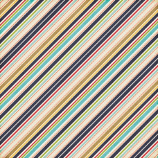 Скрапбумага двусторонняя Boy Stripes 30х30 от Echo Park