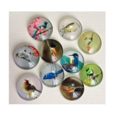 Набор стеклянных кабошонов Райские Птицы, 10 шт, размер 15 мм