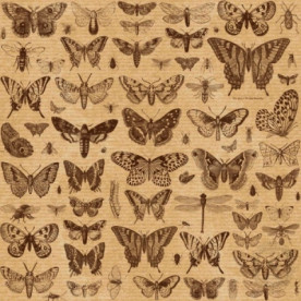 Лист бумаги "KRAFTERIA", 30*30 см, 120 г/м2 от  Lesia Zgharda