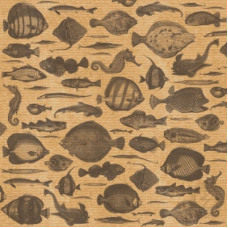 Аркуш паперу KRAFTERIA "Ocean World ", 30 * 30 см, 120 г / м2 від Lesia Zgharda