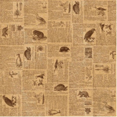 Аркуш паперу KRAFTERIA "Animals", 30 * 30 см, 120 г / м2 від Lesia Zgharda