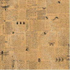Аркуш паперу  KRAFTERIA "Lettering and Beetles", 30 * 30 см, 120 г / м2 від Lesia Zgharda