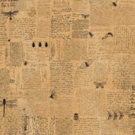 Аркуш паперу KRAFTERIA "Lettering and Beetles", 30 * 30 см, 120 г / м2 від Lesia Zgharda