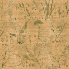Аркуш паперу KRAFTERIA "Plants", 30 * 30 см, 120 г / м2 від Lesia Zgharda