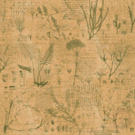Аркуш паперу KRAFTERIA "Plants", 30 * 30 см, 120 г / м2 від Lesia Zgharda