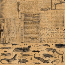 Аркуш паперу KRAFTERIA "Lizards", 30 * 30 см, 120 г / м2 від Lesia Zgharda