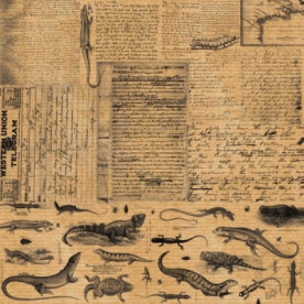 Лист бумаги KRAFTERIA "Lizards", 30*30 см, 120 г/м2 от Lesia Zgharda