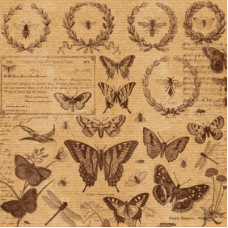 Аркуш паперу KRAFTERIA "Insects", 30 * 30 см, 120 г / м2 від Lesia Zgharda