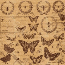 Аркуш паперу KRAFTERIA "Insects", 30 * 30 см, 120 г / м2 від Lesia Zgharda