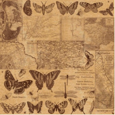 Аркуш паперу KRAFTERIA "Vintage butterflies", 30 * 30 см, 120 г / м2 від Lesia Zgharda