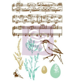 Набір акрилових штампів Songbird, Prima
