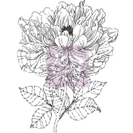 Акриловый штамп En Francais, Prima