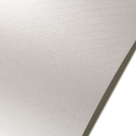 Картон кожа питона, 30*30 см, 220 г/м2