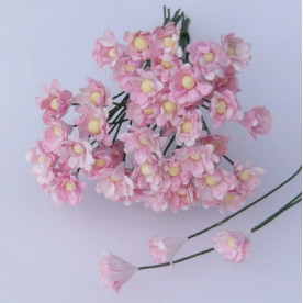 Набір з 10 квіток гіпсофіли ніжно-рожевого кольору