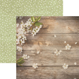 Двусторонняя бумага Apple Blossom, размер 30*30, 1 шт от Paper House