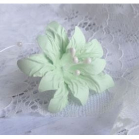 Набор бумажных цветочков "Лилии" пастельно-зеленая , 6 шт от ScrapEgo