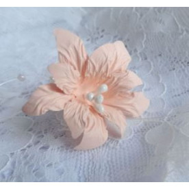 Набор бумажных цветочков "Лилии" персиковая, 6 шт от ScrapEgo