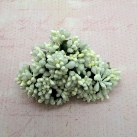 Складні тичинки, Кремовий, 12шт/пучок