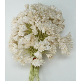 Гіпсофіла, набір із 10 кольорів, колір слонової кістки