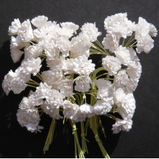 Набор из 10 цветков белой гипсофилы
