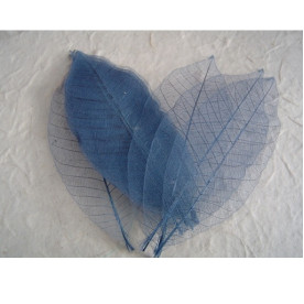 Набір 10 скелетовані декоративних листочків темно-синього кольору