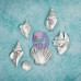 Набор гипсовых украшений Seashells , 7 шт. от Prima