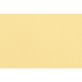 Лист фетра Бежевый 30*45 см 1,4 мм полиэстер от Hobby and You