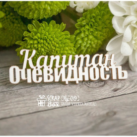 Чипборд "Капитан очевидность", 60*18 мм от Scrapbox