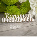 Чипборд "Капитан очевидность", 60*18 мм от Scrapbox