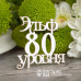 Чипборд  "Эльф 80 уровня", 50*51 мм от Scrapbox