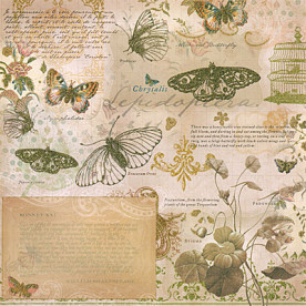 Односторонній скраппапір Mariposa Butterfly Collage with Gold Foil від DCWV