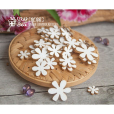 Чіпборд набір квіточок (30 шт), 20 * 20 мм від Scrapbox