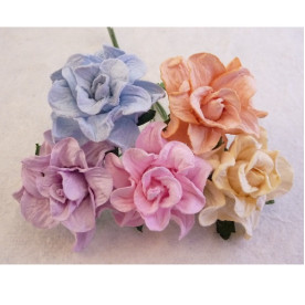 Набор 5 диких розочек пастельных цветов, 35 мм.