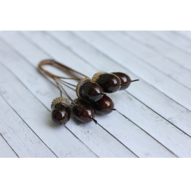 Набір гілочка Жолудь, 20 * 10 мм, 6 шт від Hobby & You