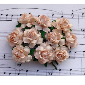 Набір диких трояндочок 25 мм персикового кольору, 5 шт.