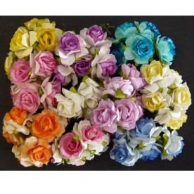Набор 10 диких розочек разных цветов, 30 мм