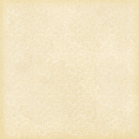 Односторонній папір для скрапбукінгу 30х30 см Blanche від Melissa Frances