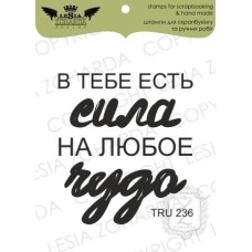 Акриловый штамп В тебе есть сила..., Lesia Zgharda