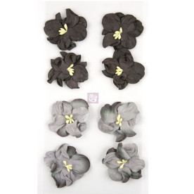 Набір гарденій в чорно-сірих тонах, 8 шт., 4 см. Від Prima
