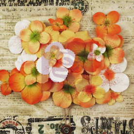 Набір гортензій Country Elegance Or, 72 шт. від Prima